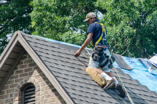 Quick and Trustworthy Emergency Roof Repair Services in Belleview, FL